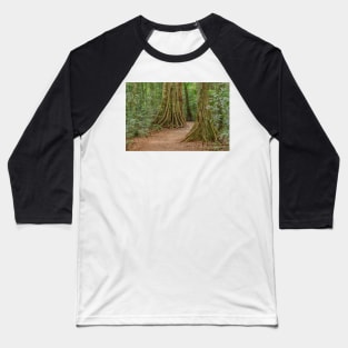 Rainforest Mary Cairncross park Baseball T-Shirt